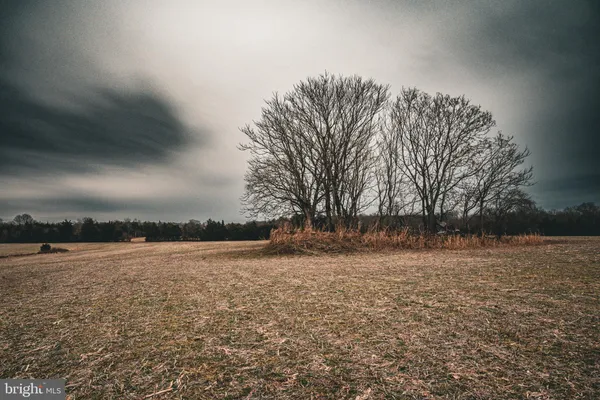 a view of a yard covered with snow in back yard
