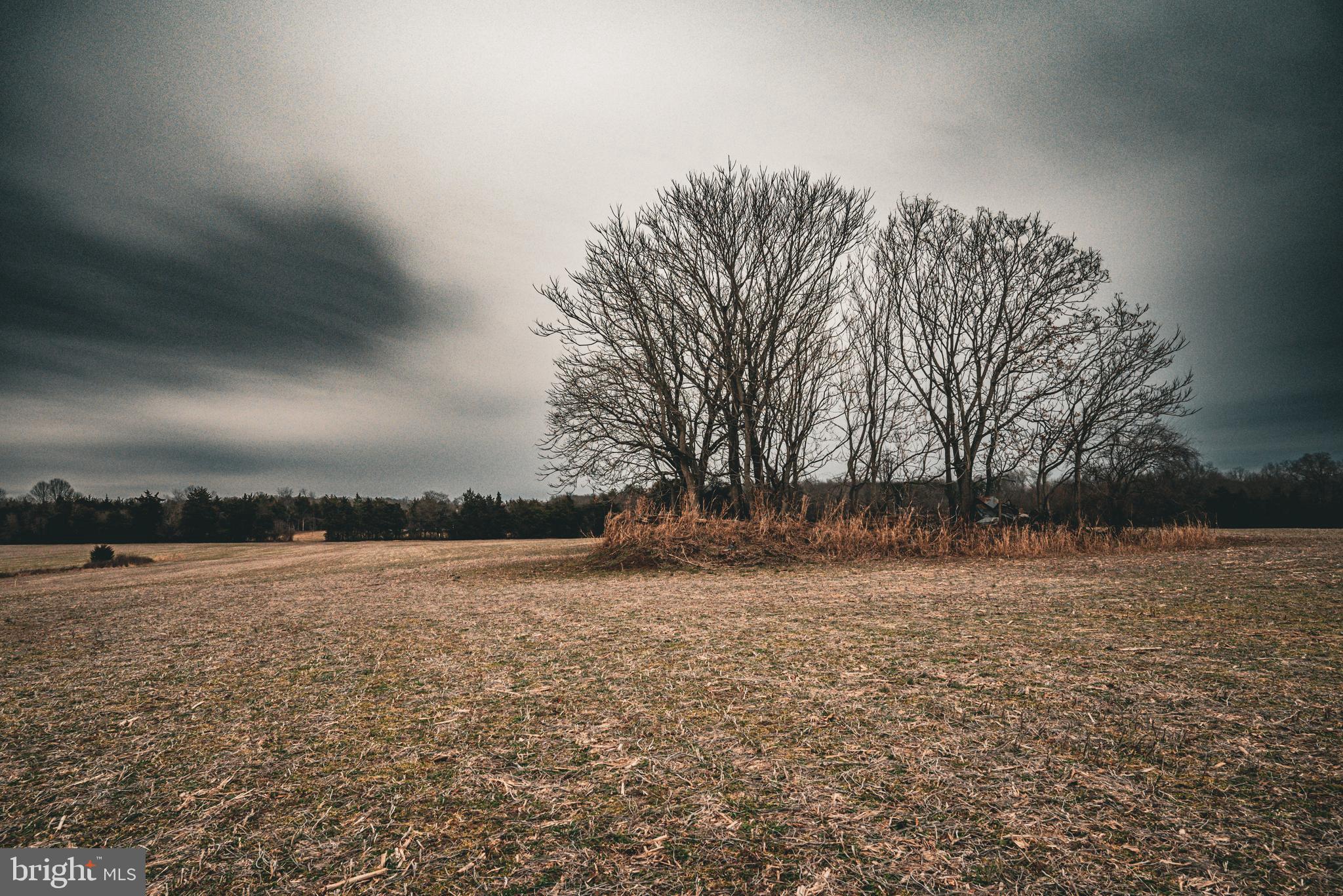 Tbd Ellis Road Lignum, VA 22726 - Photo 19 of 62 a view of outdoor space with deck and yard