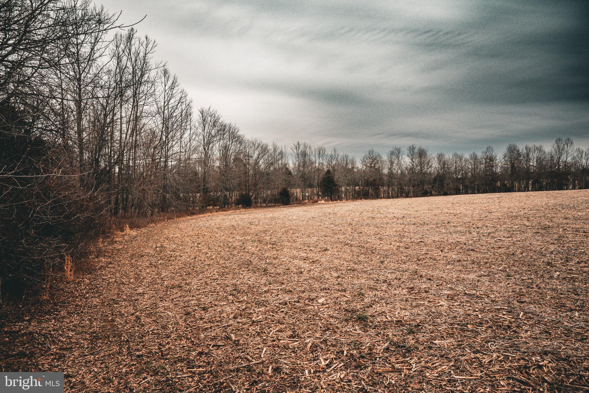Tbd Ellis Road Lignum, VA 22726 - Photo 21 of 62 a view of outdoor space and yard