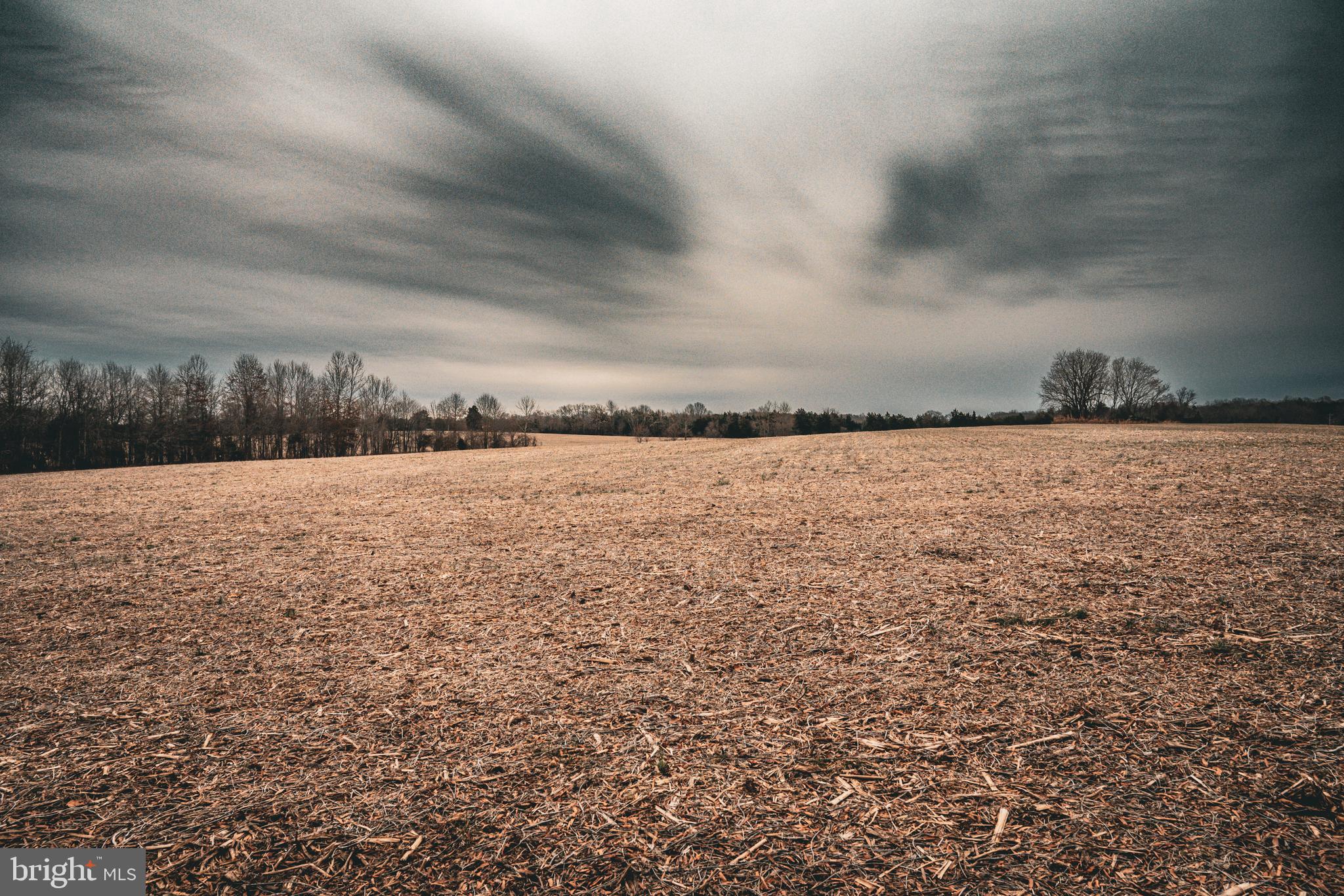 Tbd Ellis Road Lignum, VA 22726 - Photo 22 of 62