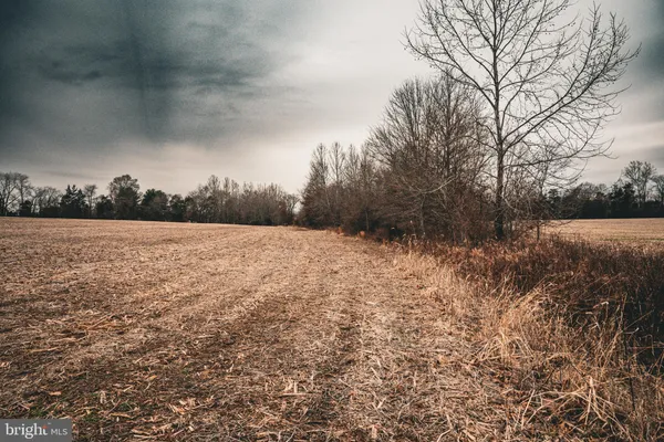 a view of empty field with trees in the background