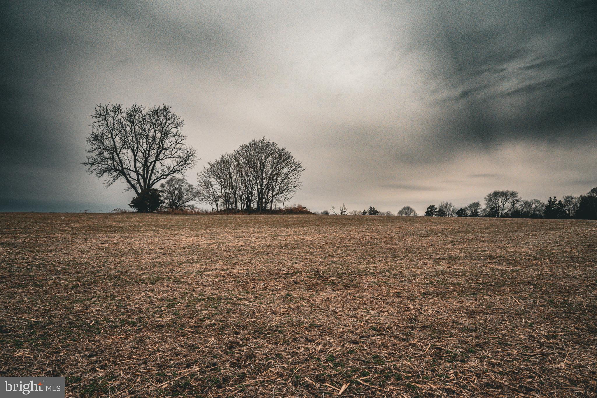 Tbd Ellis Road Lignum, VA 22726 - Photo 28 of 62 a view of lake view and mountain view