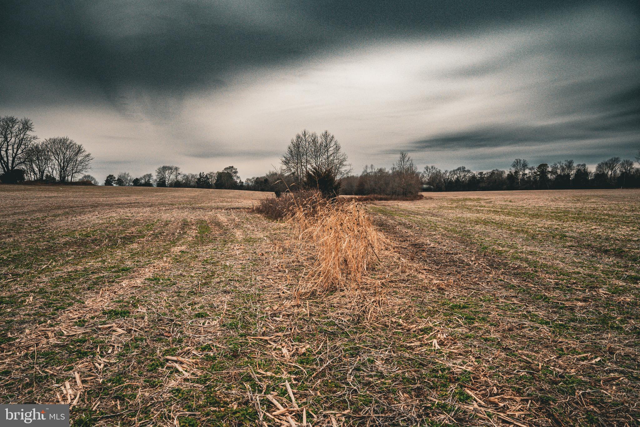 Tbd Ellis Road Lignum, VA 22726 - Photo 29 of 62