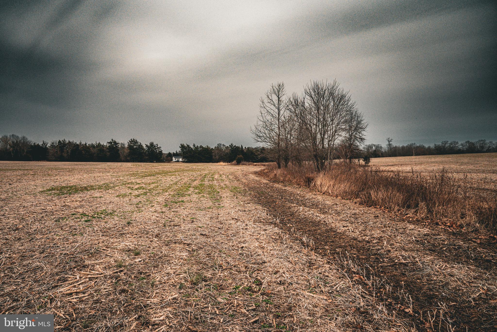 Tbd Ellis Road Lignum, VA 22726 - Photo 31 of 62 a view of yard with ocean and trees in the background
