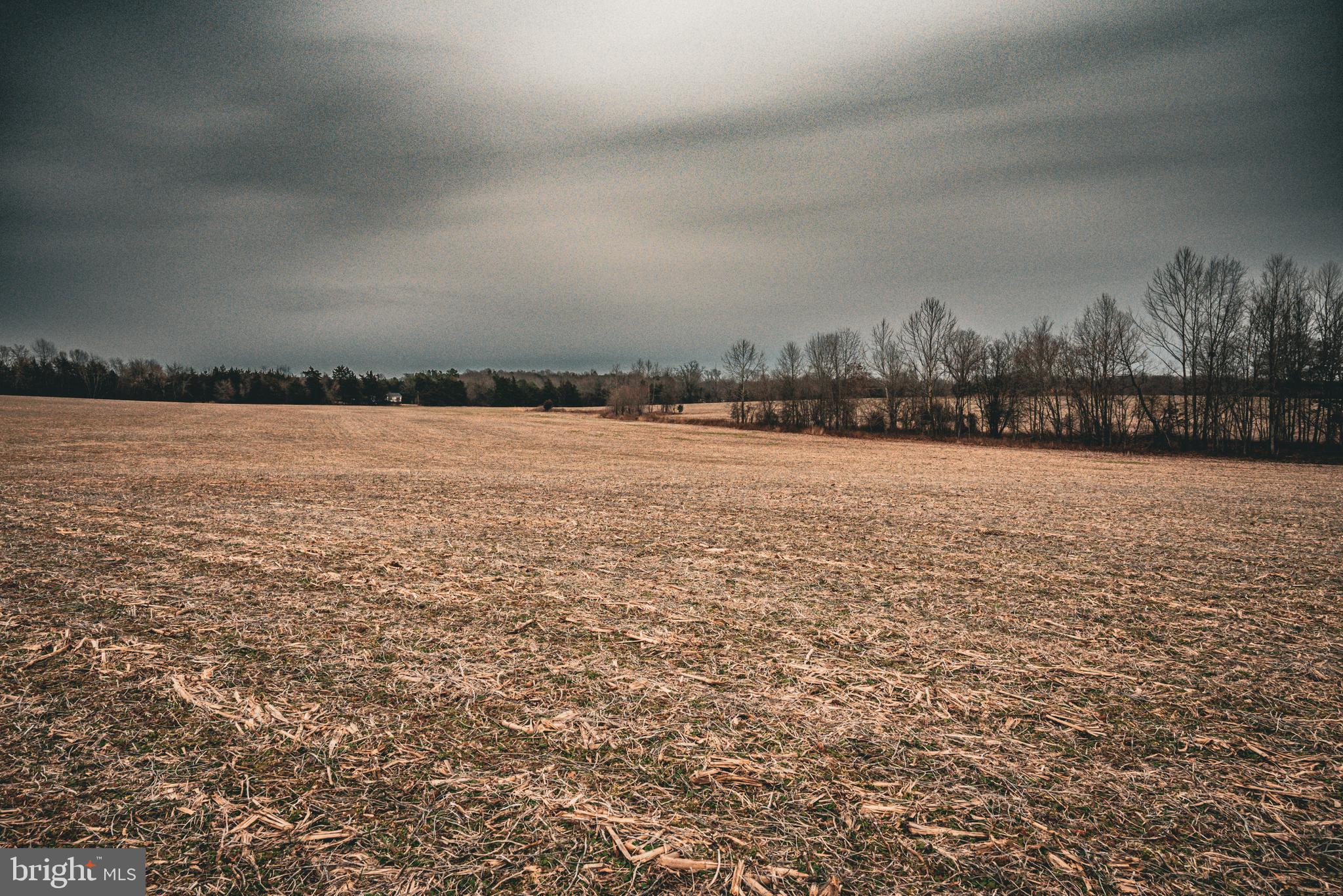 Tbd Ellis Road Lignum, VA 22726 - Photo 32 of 62