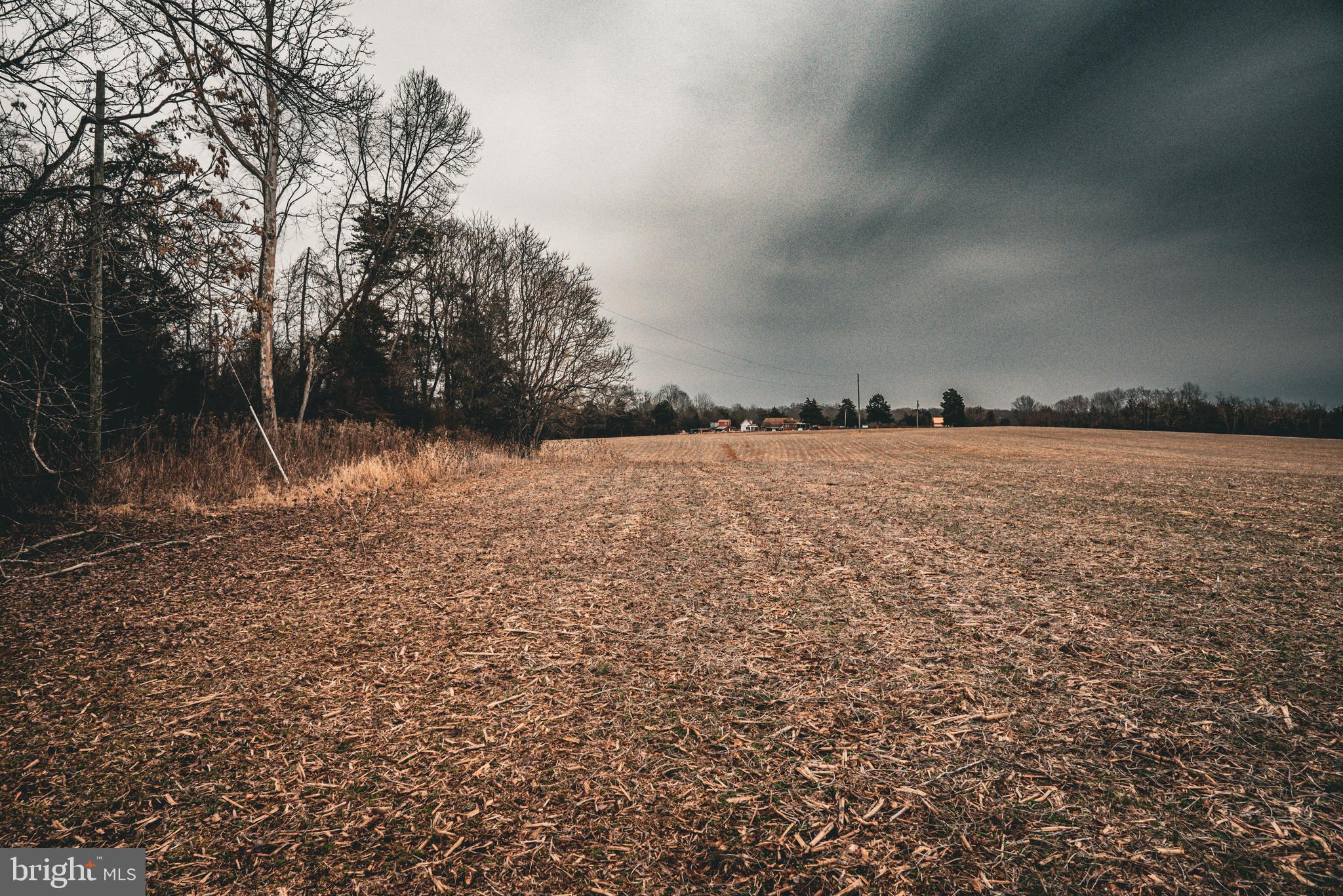 Tbd Ellis Road Lignum, VA 22726 - Photo 33 of 62 a view of a lake view