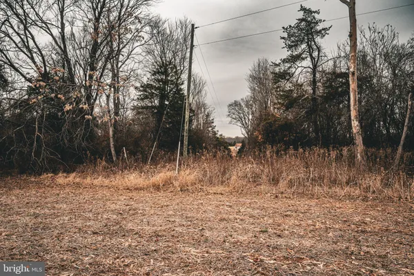 a view of a dry yard