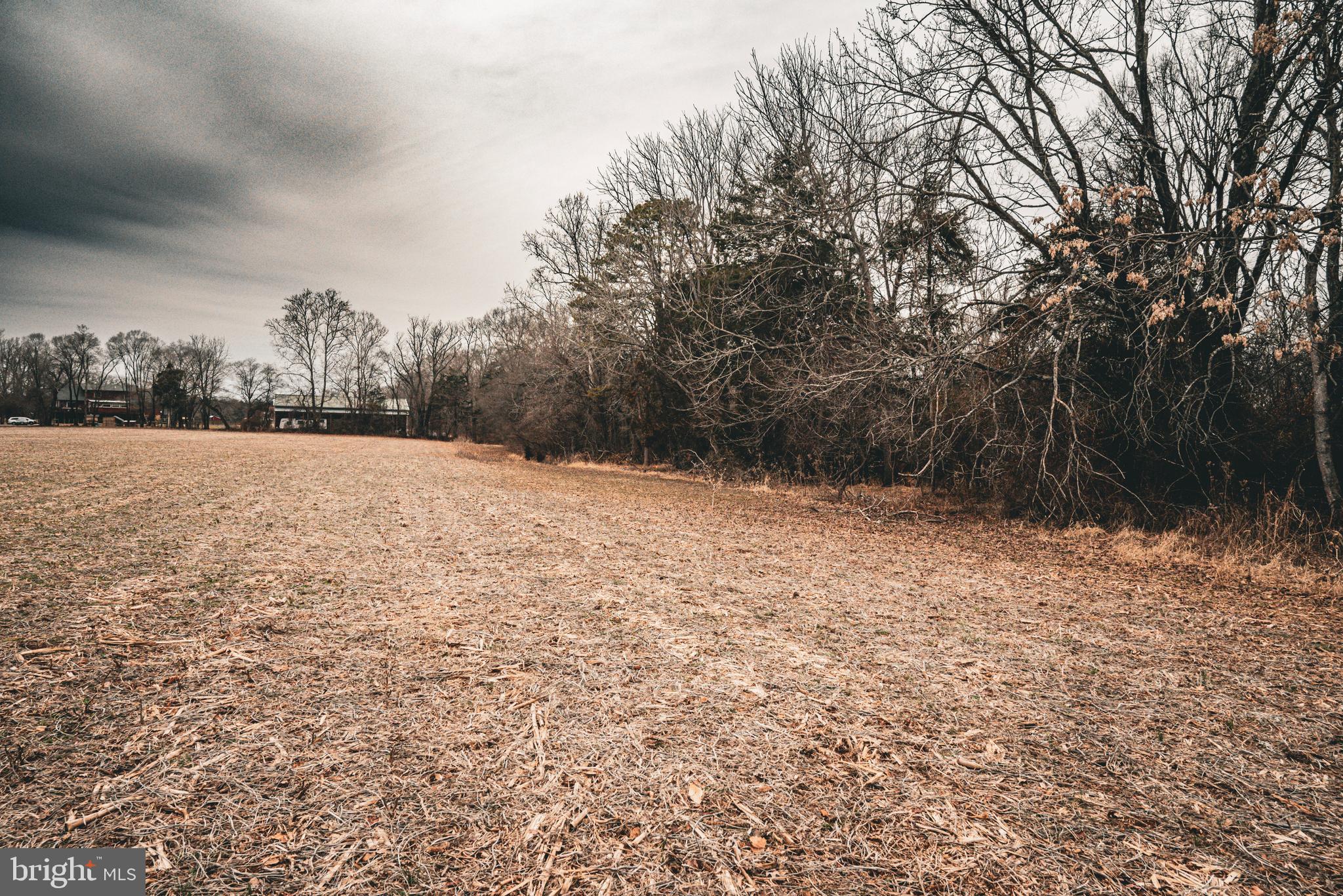 Tbd Ellis Road Lignum, VA 22726 - Photo 35 of 62 a view of empty field with trees in the background