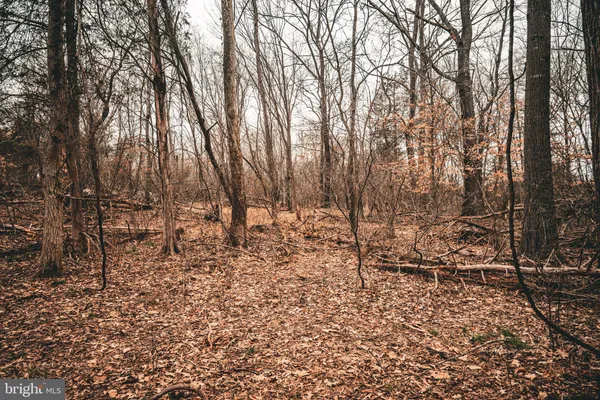 a view of covered with green space