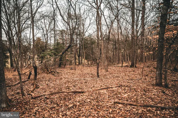 a view of yard covered with snow in front of house