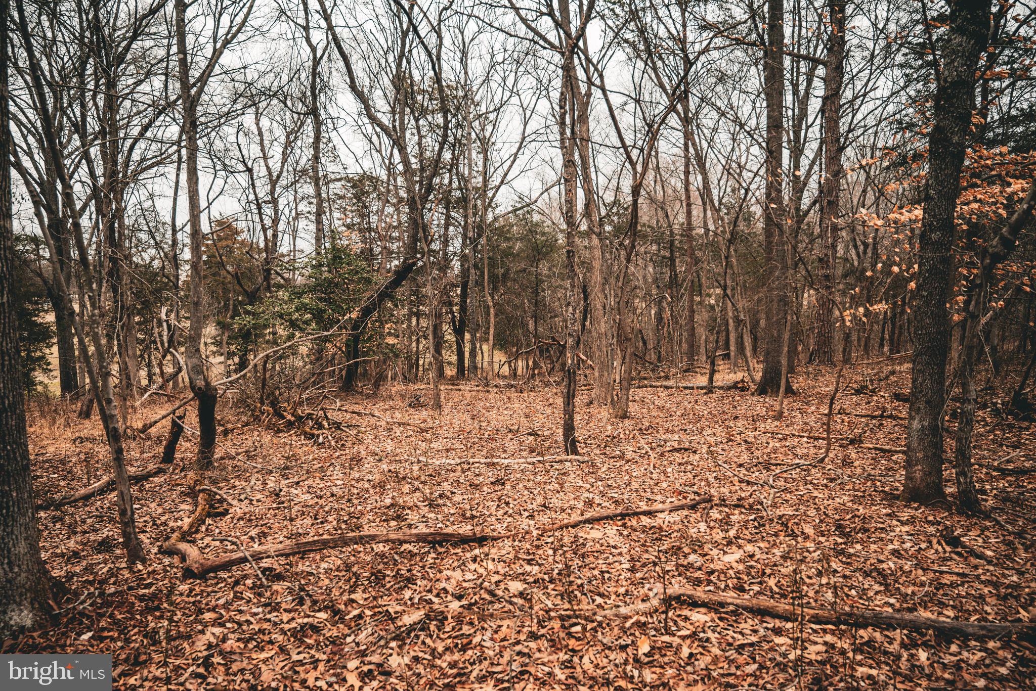 Tbd Ellis Road Lignum, VA 22726 - Photo 38 of 62 a view of house with trees in the background