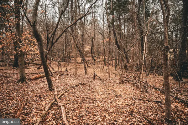 a view of empty space with mountain