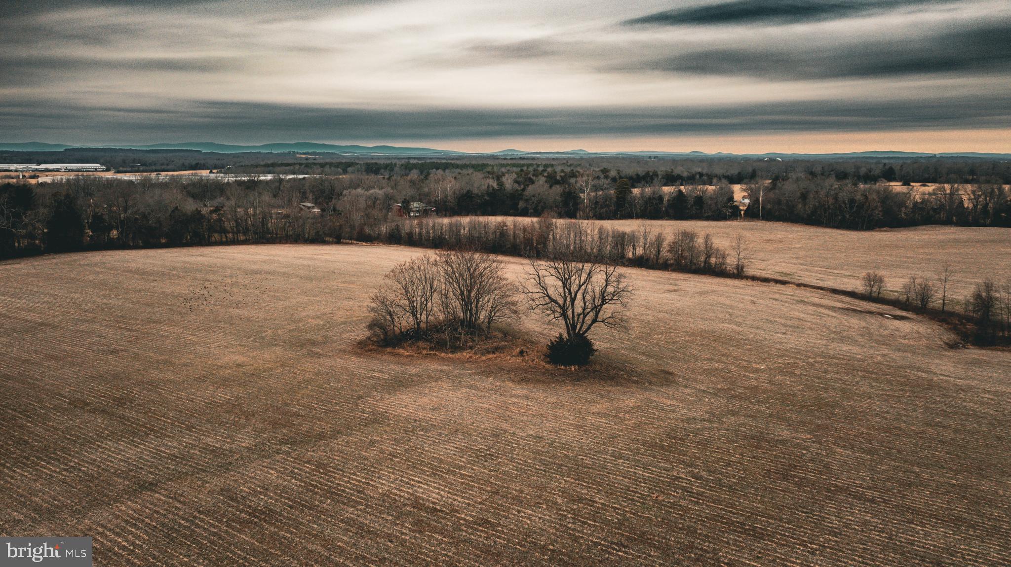 Tbd Ellis Road Lignum, VA 22726 - Photo 4 of 62