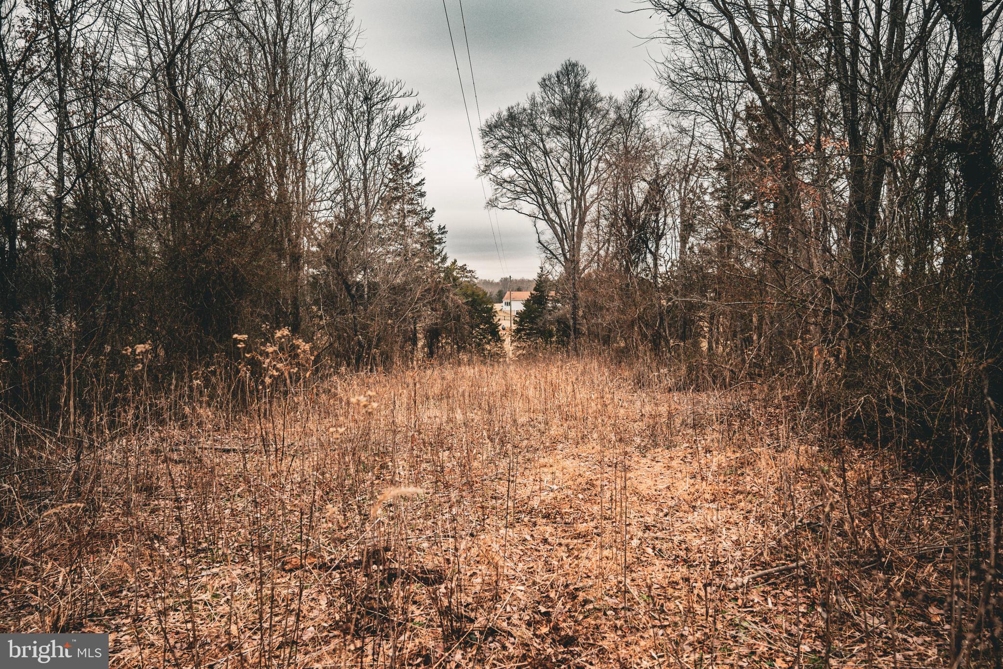 Tbd Ellis Road Lignum, VA 22726 - Photo 41 of 62 a view of backyard with green space
