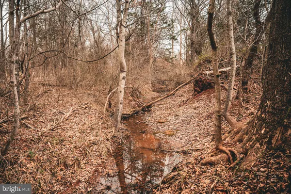 a backyard of a house with large trees