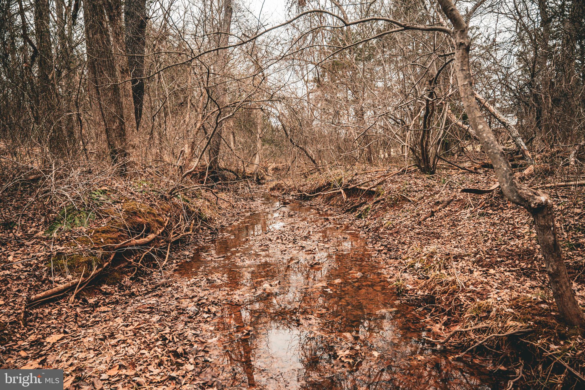 Tbd Ellis Road Lignum, VA 22726 - Photo 45 of 62 a view of covered with green space