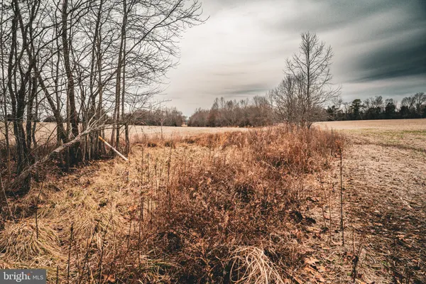 a view of side of a road with trees in the background