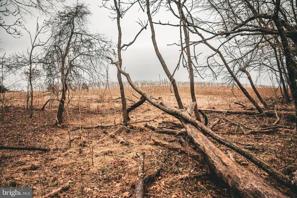 a view of swimming pool
