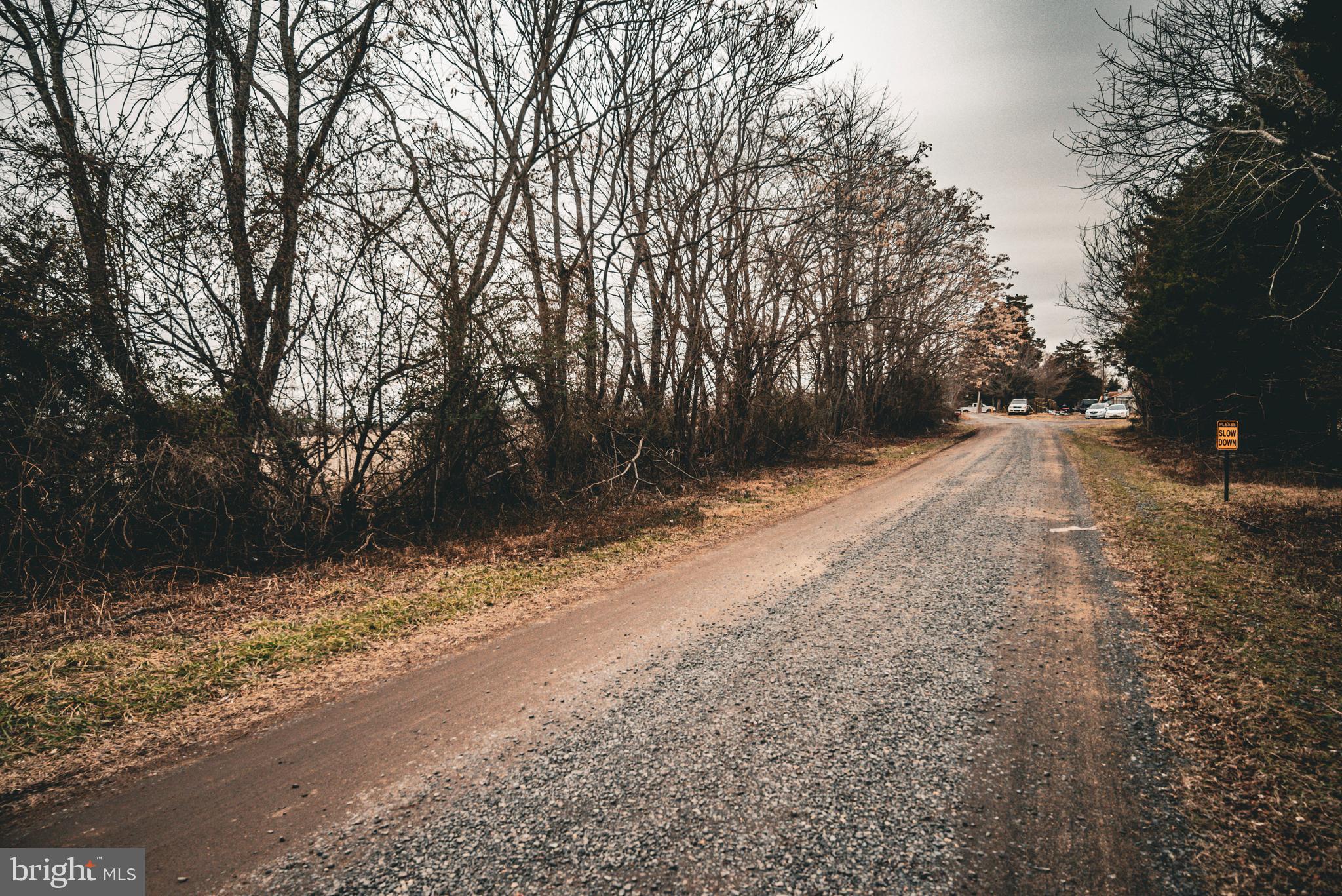 Tbd Ellis Road Lignum, VA 22726 - Photo 51 of 62 a view of a yard with trees