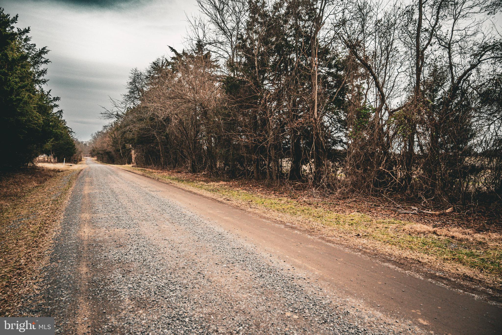 Tbd Ellis Road Lignum, VA 22726 - Photo 52 of 62 a view of a yard with trees