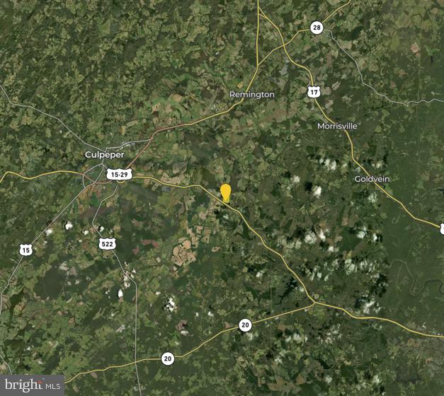 Tbd Ellis Road Lignum, VA 22726 - Photo 62 of 62 a picture of city tree