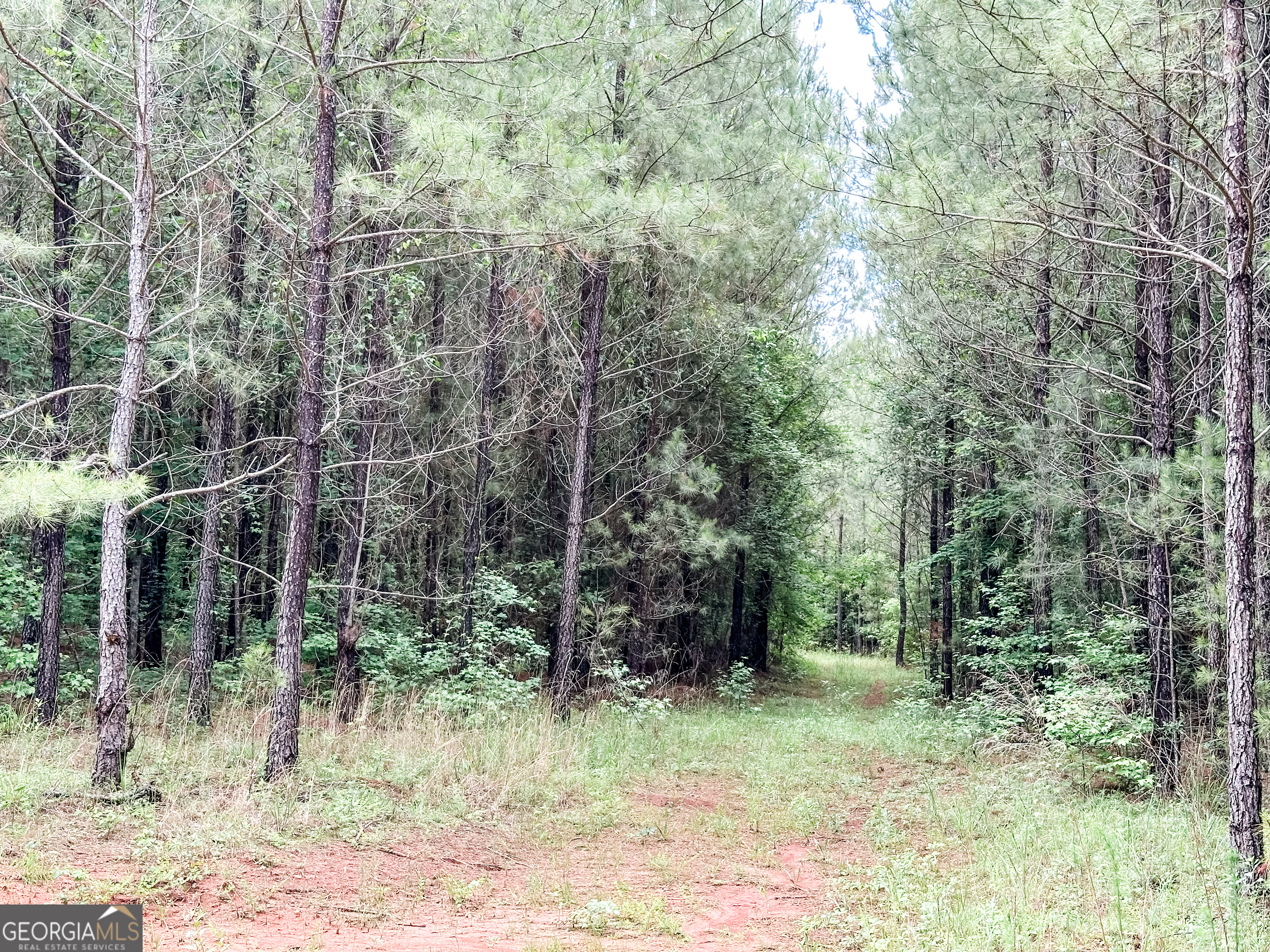 52.4-acres Goolsby Road, Unit 52 4 ACRES Monticello, GA 31064 - Photo 18 of 25