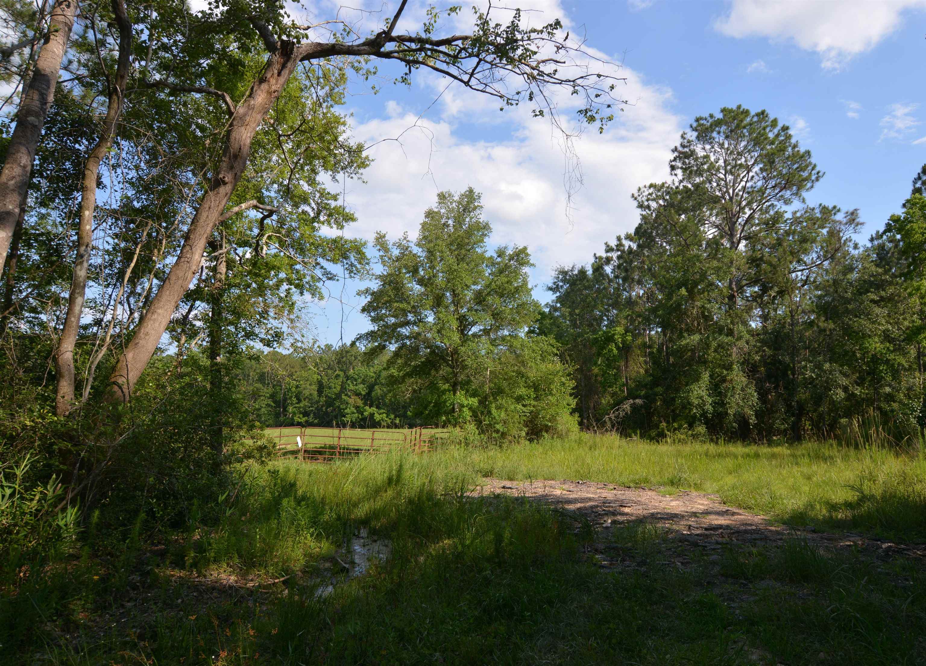 85 County Road 85 Robertsdale, AL 36567 - Photo 2 of 6