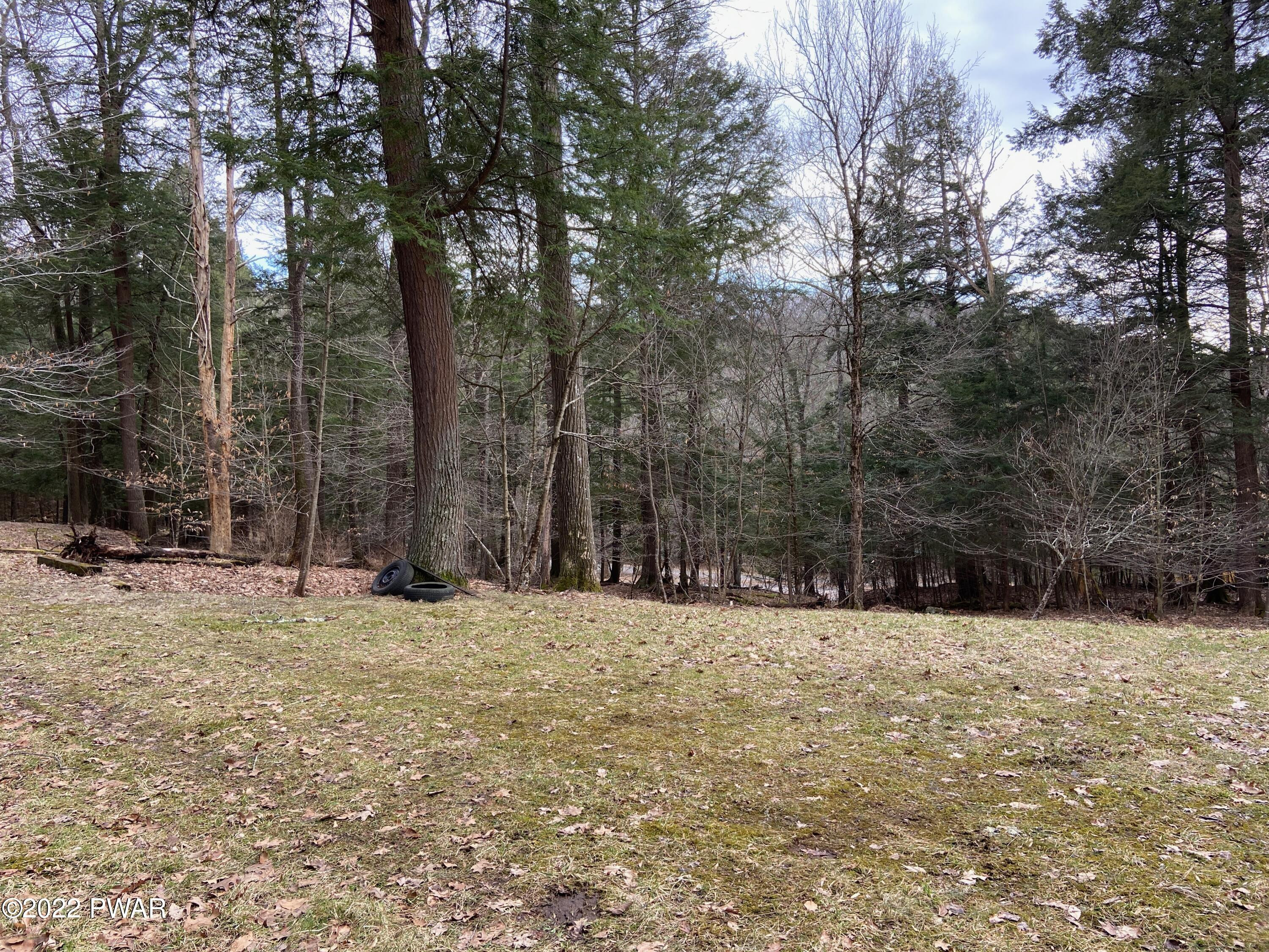 85 Stone Arch Road Damascus, PA 18415 - Photo 3 of 6