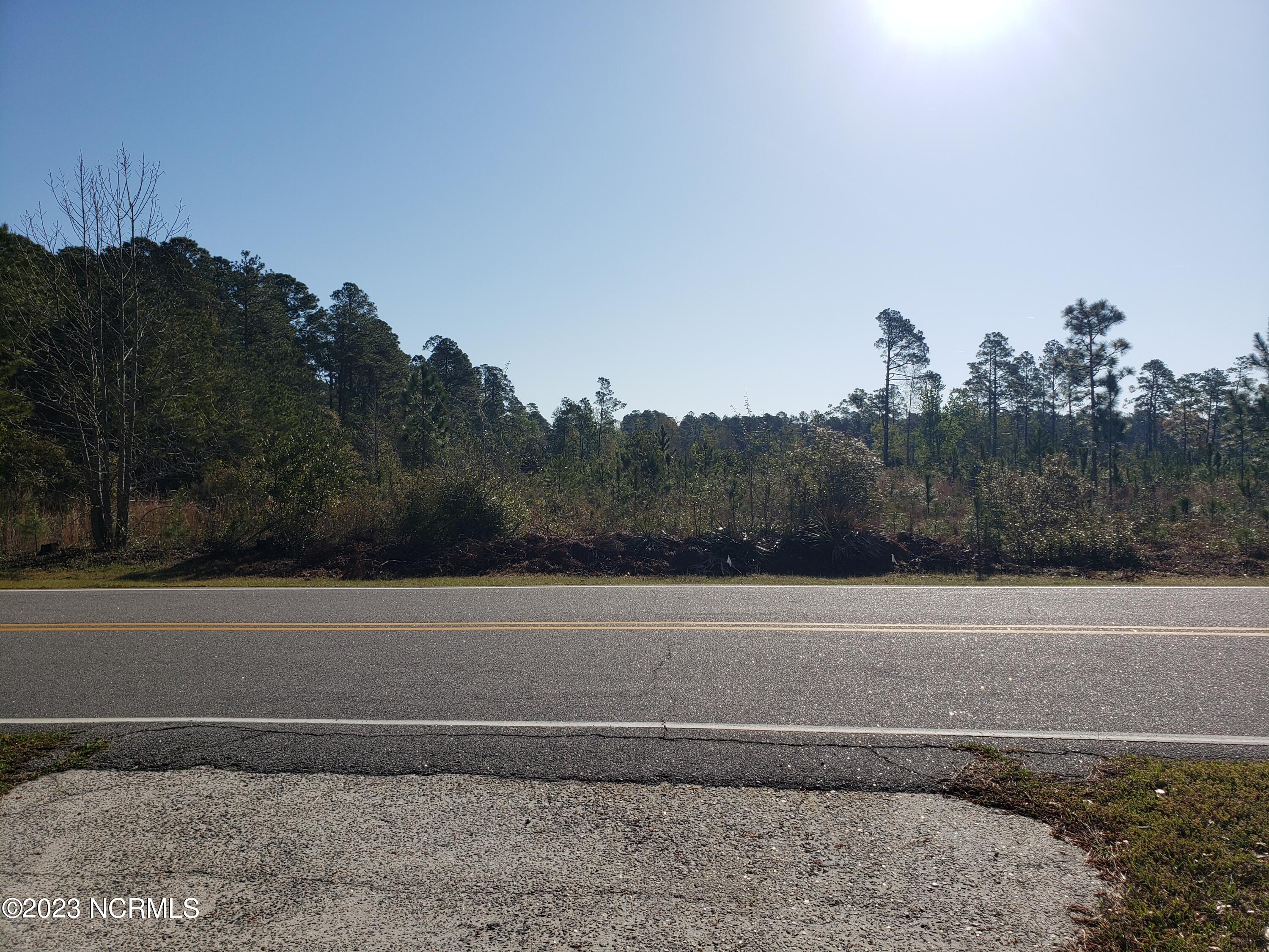 2430 Bella Coola Road Lake Waccamaw, NC 28450 - Photo 58 of 58 across from state park