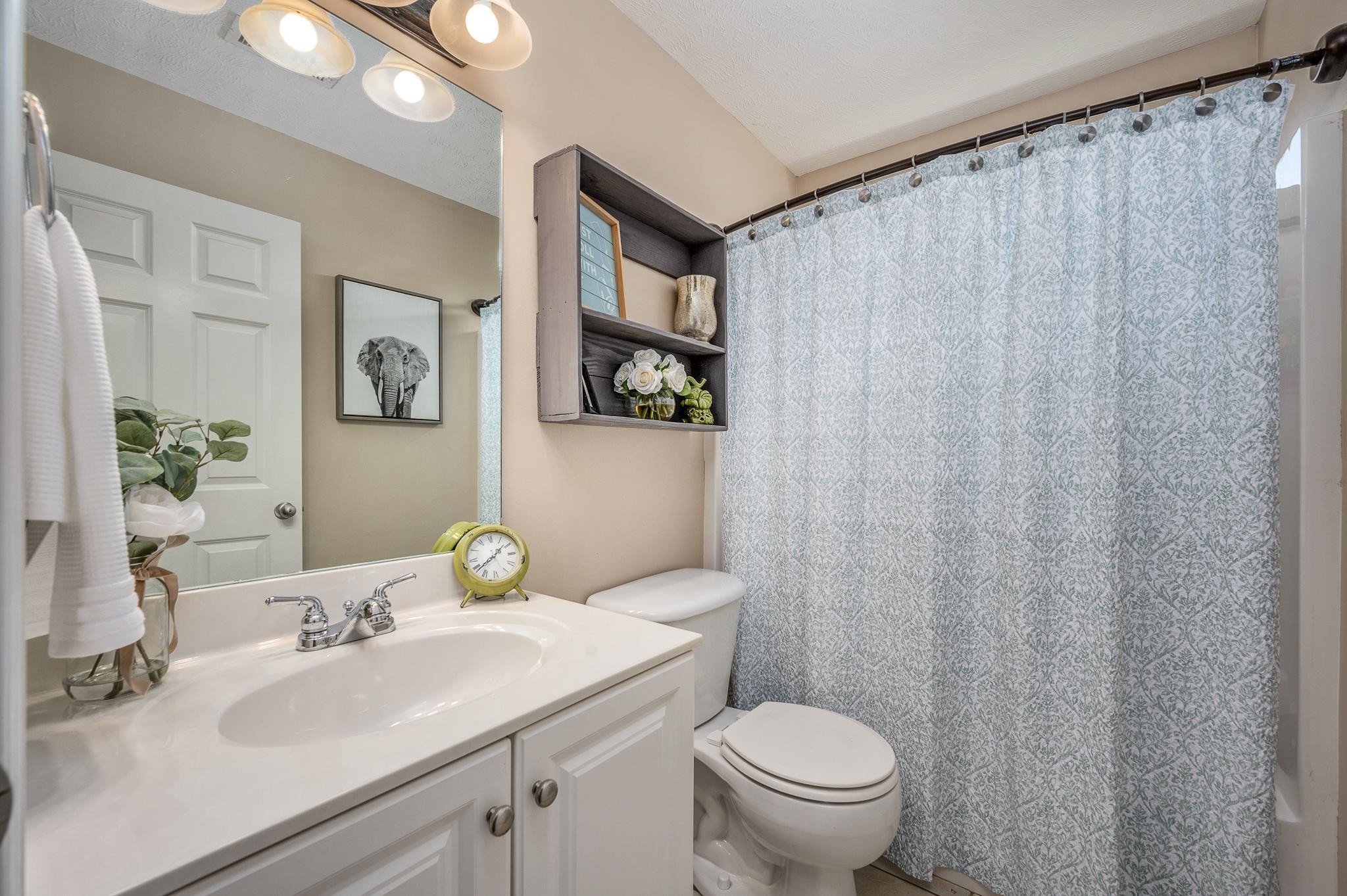5039 Midland Fosterville Road Bell Buckle, TN 37020 - Photo 18 of 32 a bathroom with a sink vanity mirror and toilet