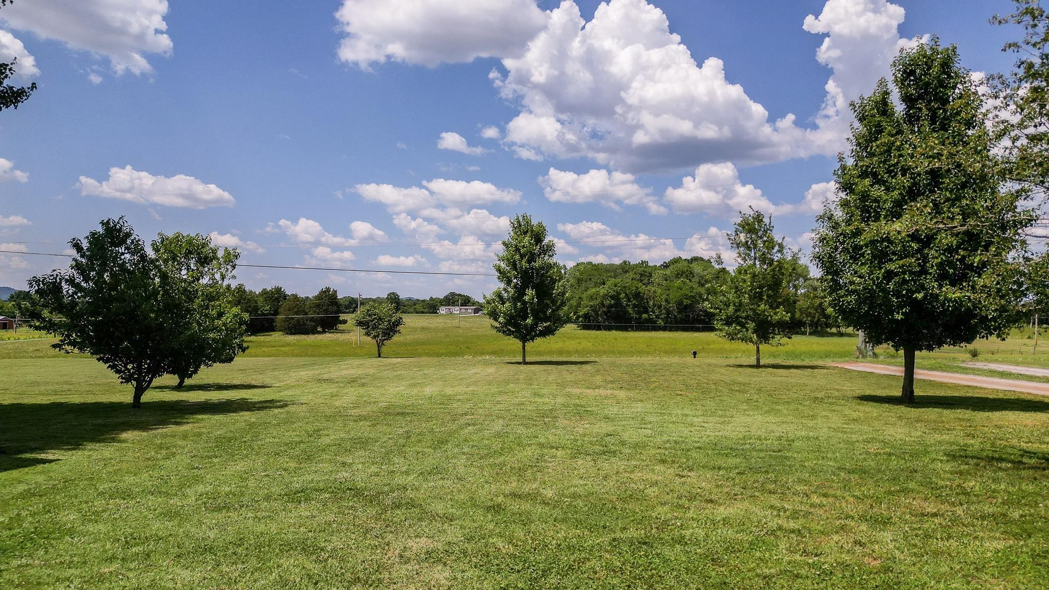 5039 Midland Fosterville Road Bell Buckle, TN 37020 - Photo 3 of 32 a view of an outdoor space and yard