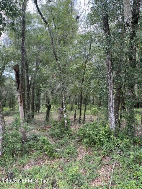 607 Cousintown Road Interlachen, FL 32148 - Photo 5 of 8 aff1cd60-2779-4362-8b32-03d93608c572