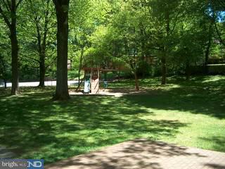 668 Llewelyn Road Berwyn, PA 19312 - Photo 6 of 6