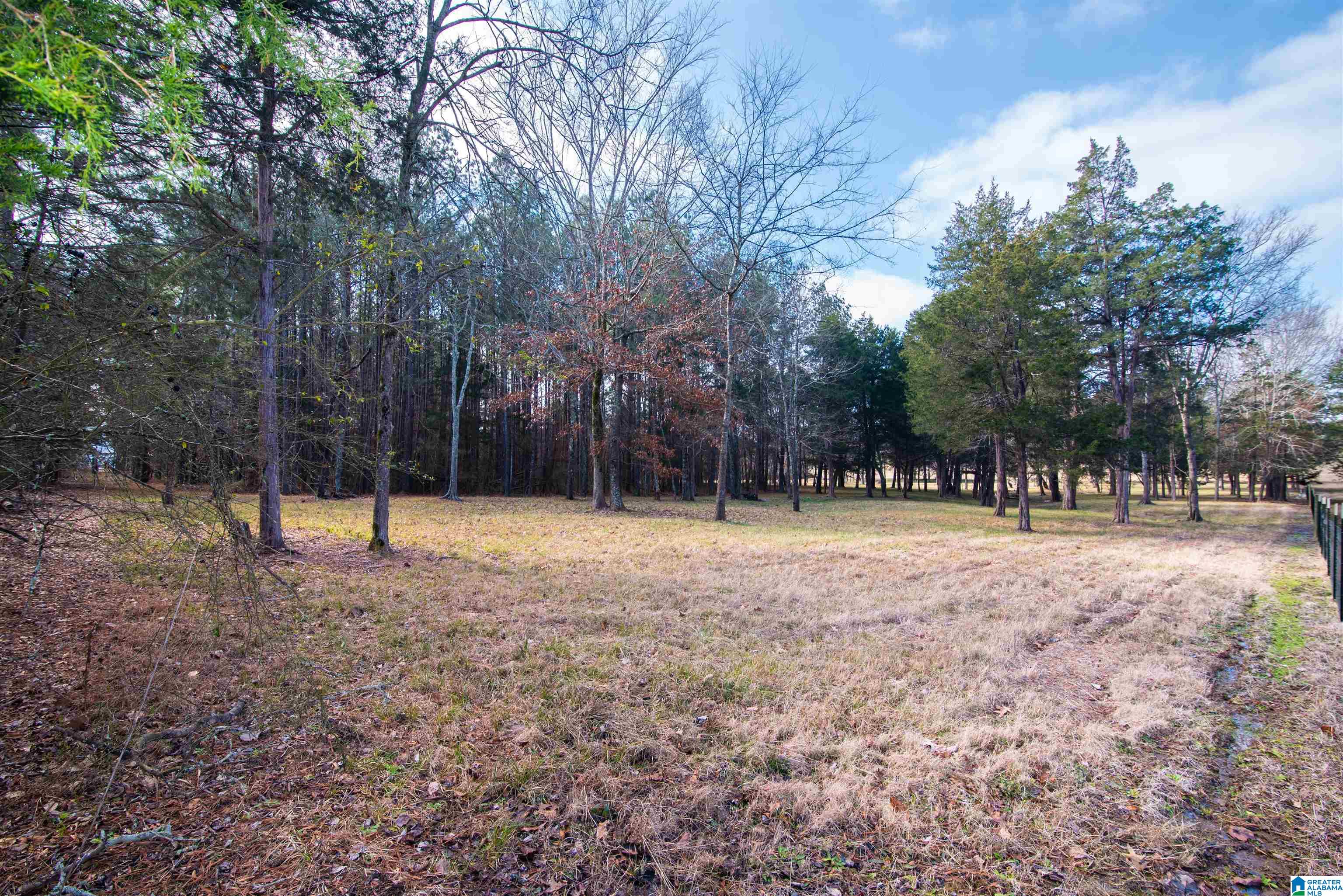 0 Day Drive, Unit 10 Somerville, AL 35670 - Photo 10 of 16