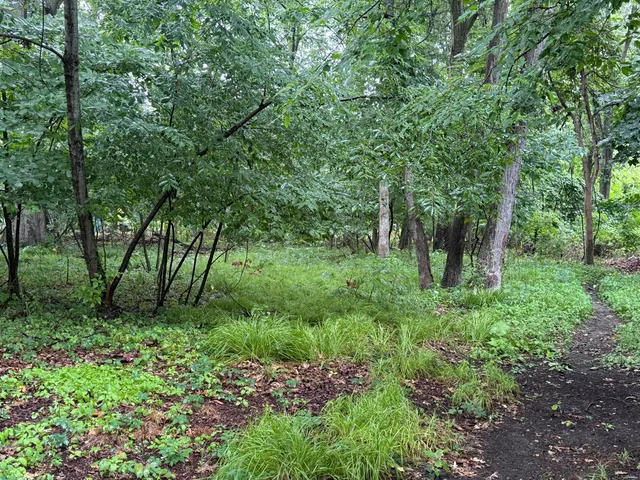 $65,000 | 6 9 Mile Road, Whitmore Lake, MI 48189