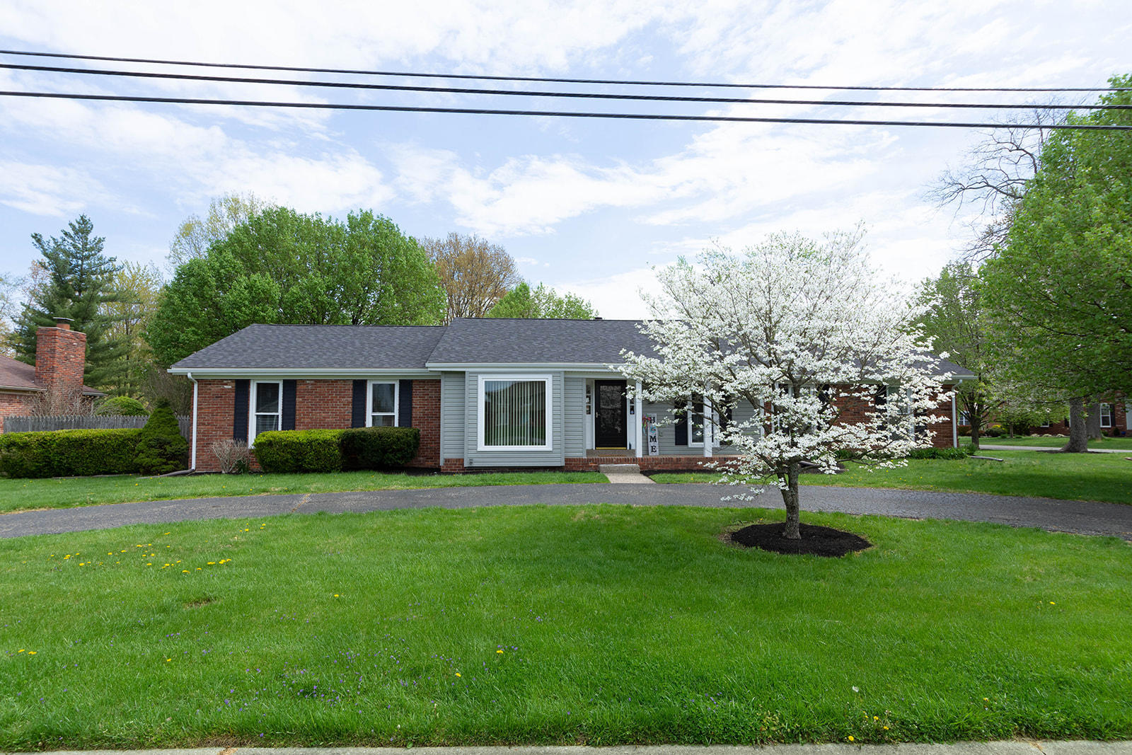315 Moser Road Louisville, KY 40243 - Photo 24 of 39 Large Front Yard with Circular Driveway sits back off Moser