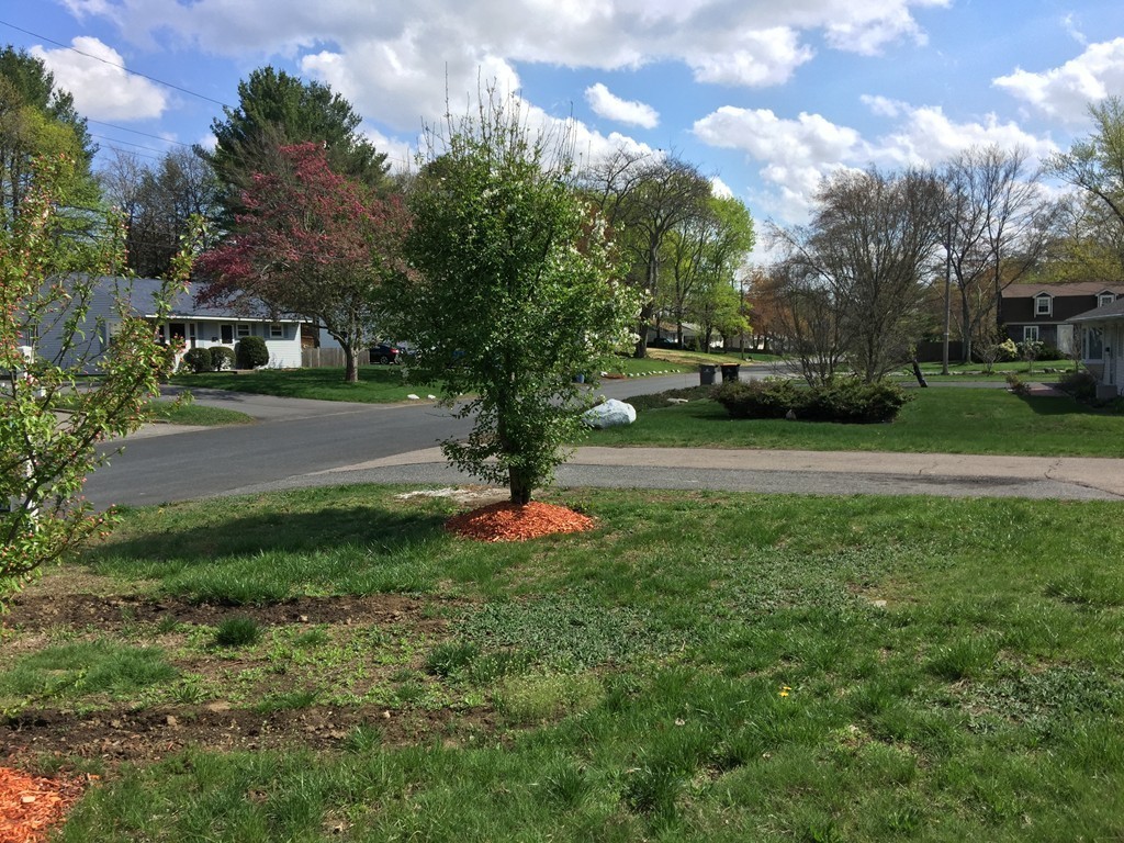 106 Baldwin Avenue Framingham, MA 01701 - Photo 5 of 15