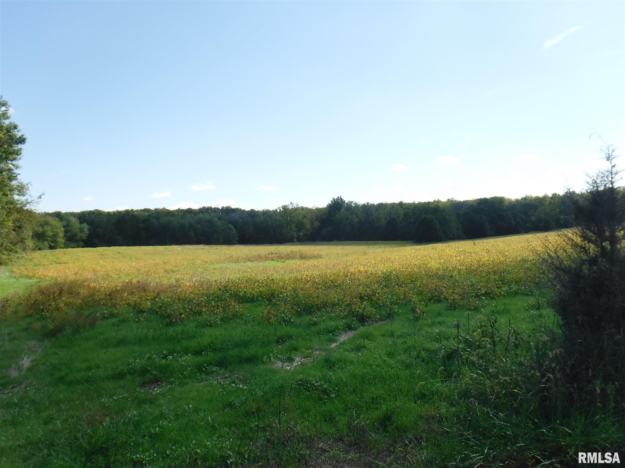 3000 Farthing Road Odin, IL 62870 - Photo 1 of 4