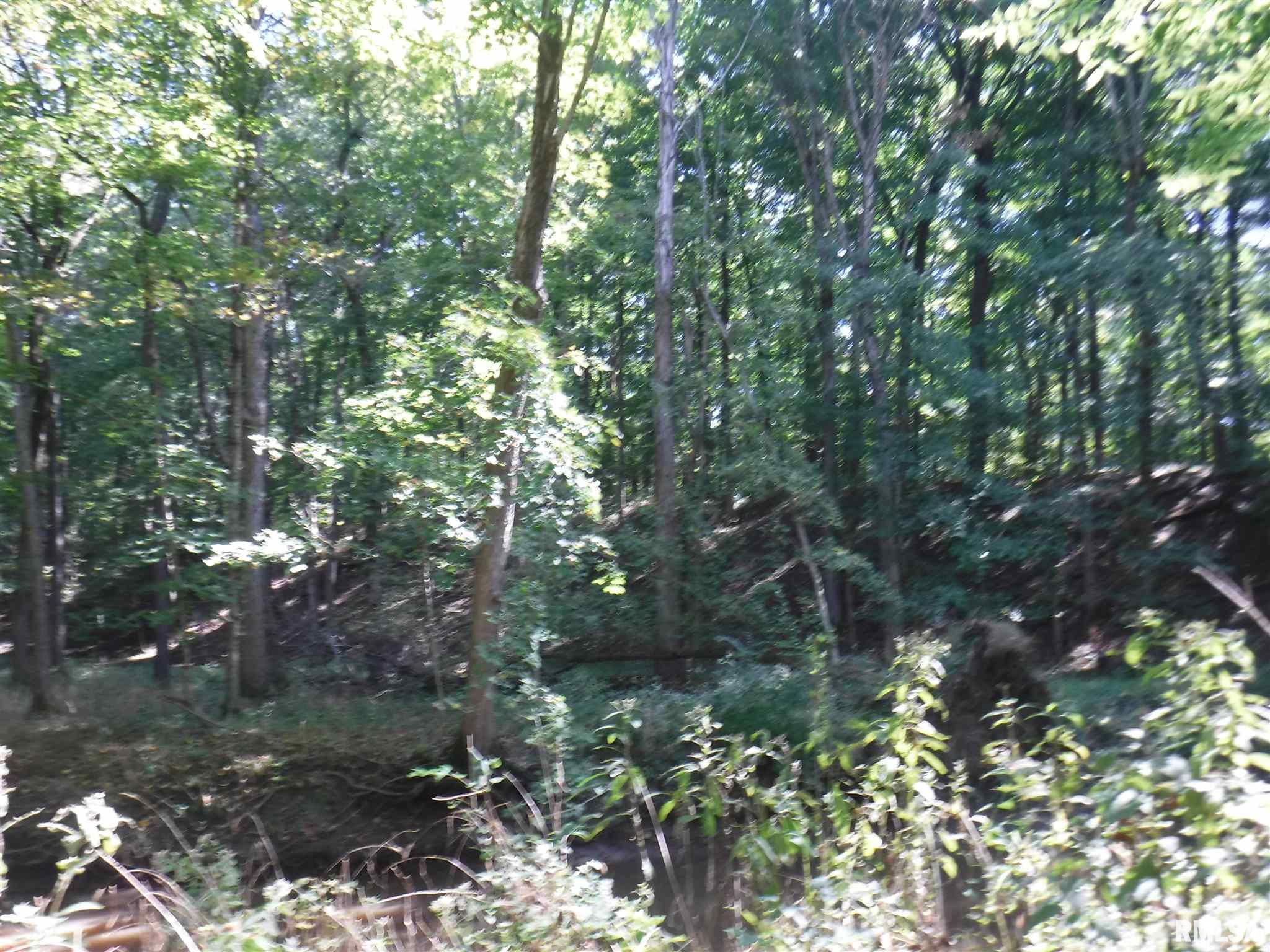 3000 Farthing Road Odin, IL 62870 - Photo 3 of 4