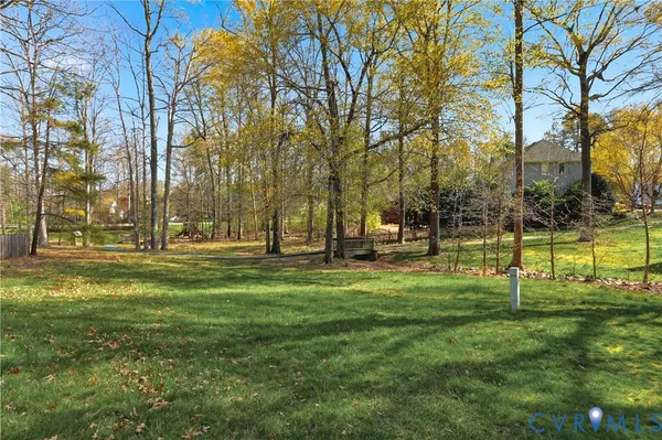 a view of a park with large trees