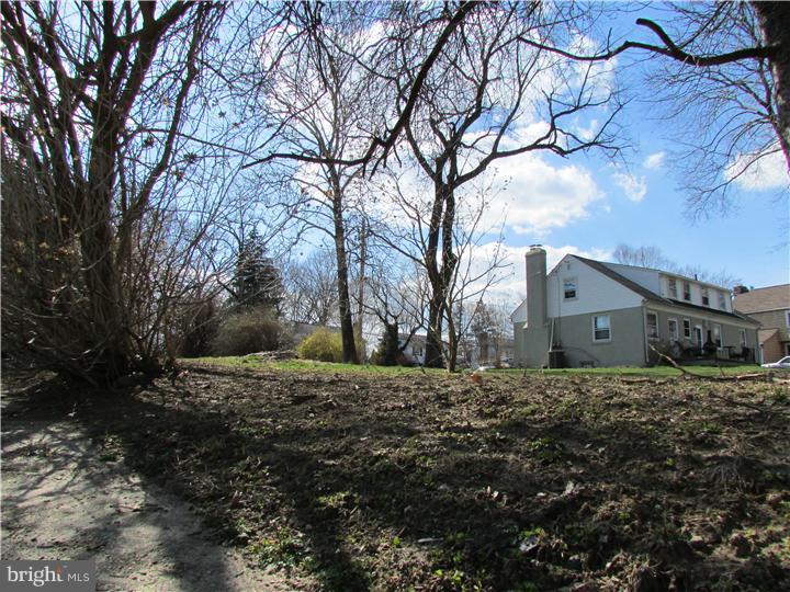 507 West Springfield Road Springfield, PA 19064 - Photo 7 of 7