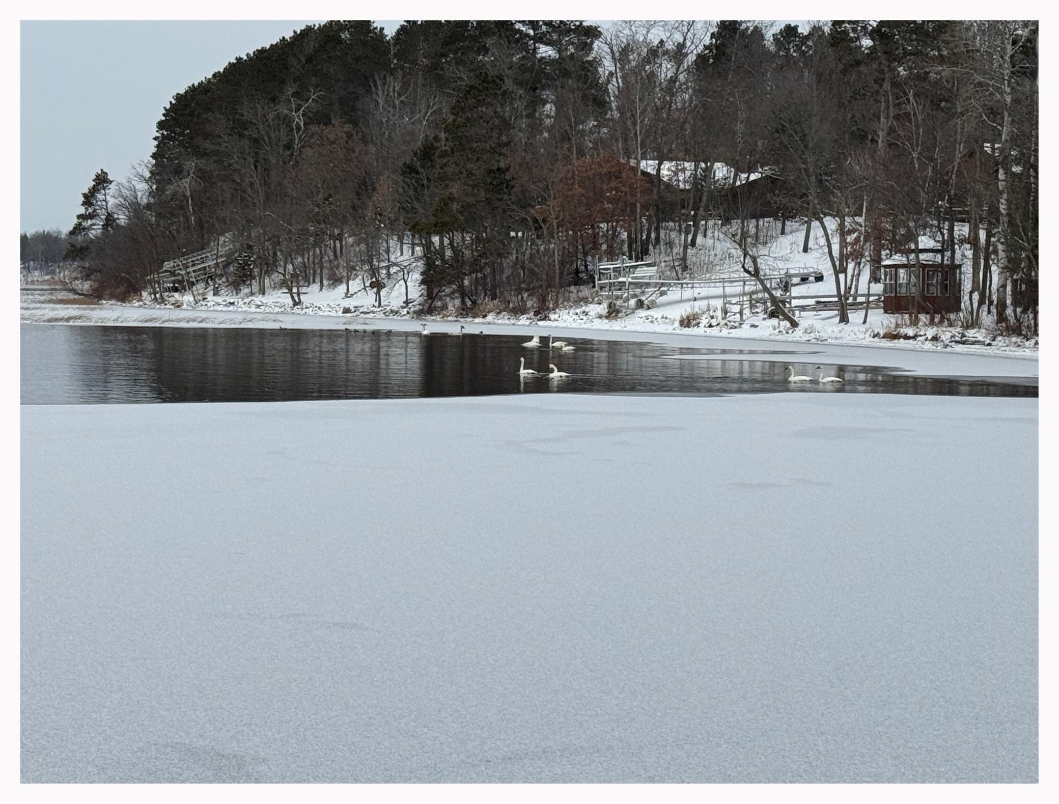 16184 Andrusia Road Northeast Cass Lake, MN 56633 - Photo 16 of 22