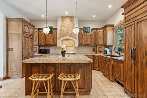 a bathroom with a granite countertop sink and a potted plant