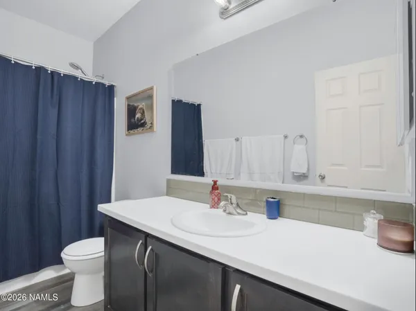 a bathroom with a sink and a toilet