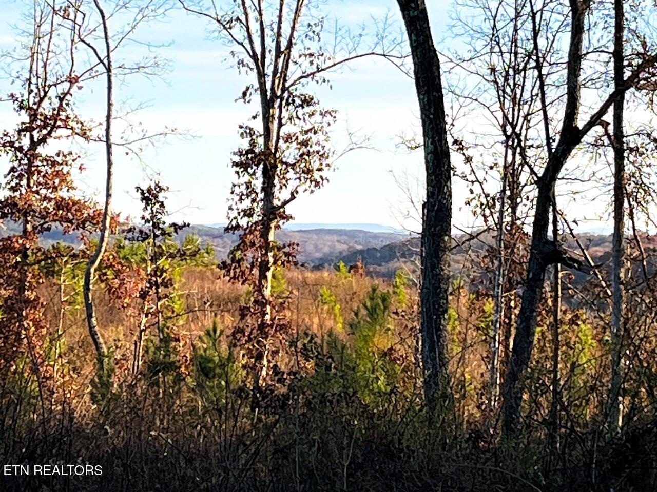 Back of the homesite with views