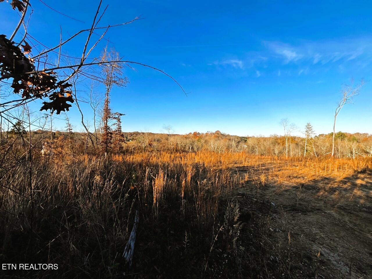 Ten Euchee Road Ten Mile, TN 37880 - Photo 11 of 24 Homesite 2 with views