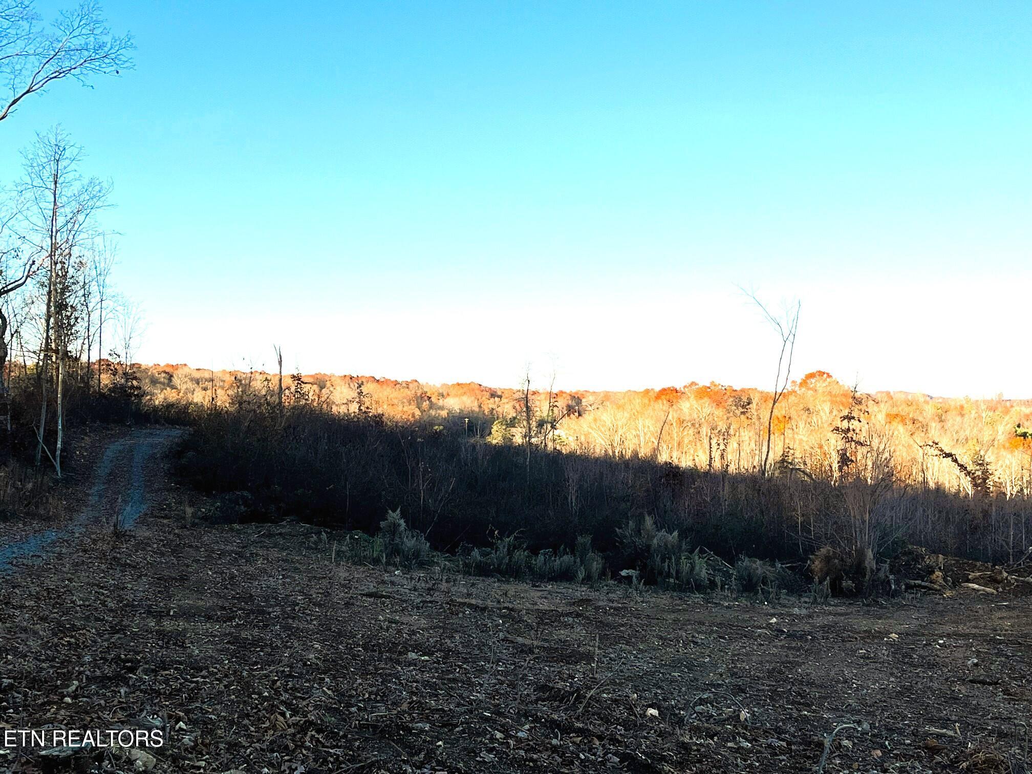 Ten Euchee Road Ten Mile, TN 37880 - Photo 14 of 24 Eu C view from homesite