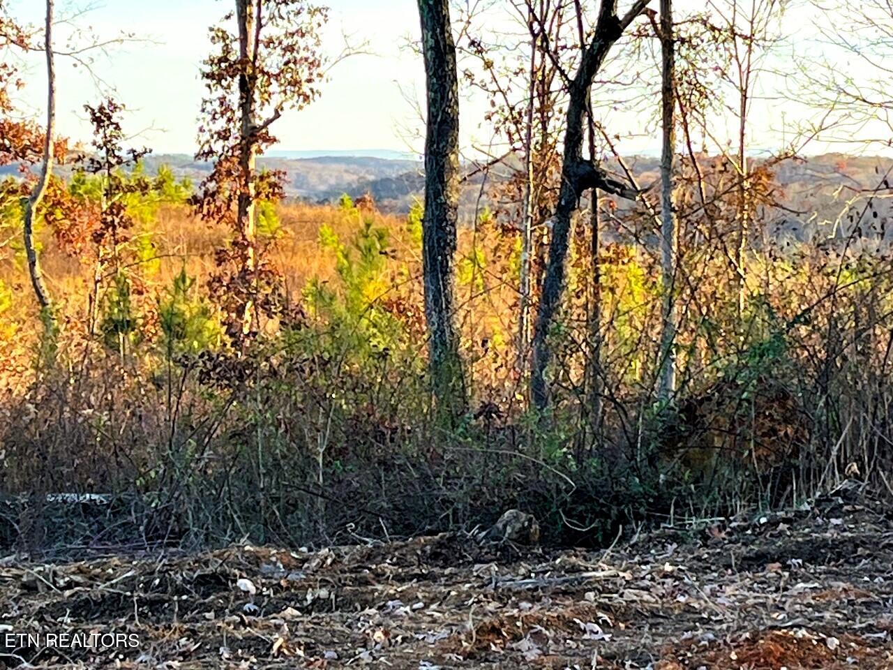 Ten Euchee Road Ten Mile, TN 37880 - Photo 15 of 24 Back of the homesite