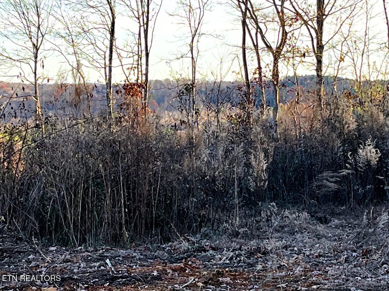 Ten Euchee Road Ten Mile, TN 37880 - Photo 16 of 24 Back of property