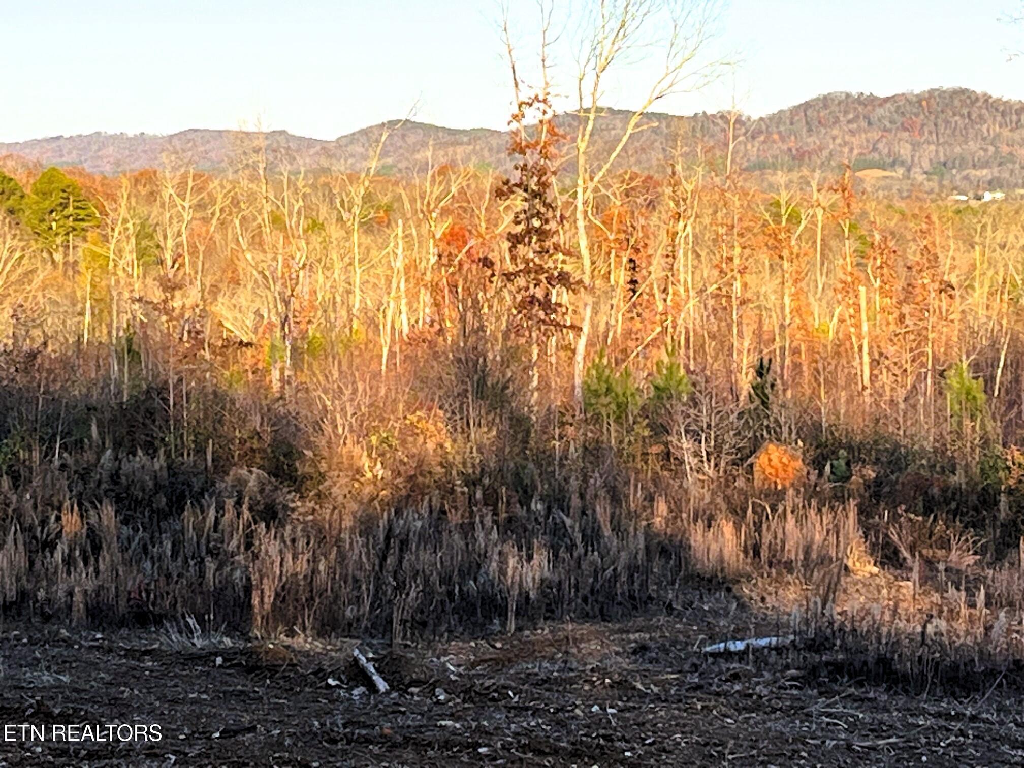Ten Euchee Road Ten Mile, TN 37880 - Photo 17 of 24 level areas